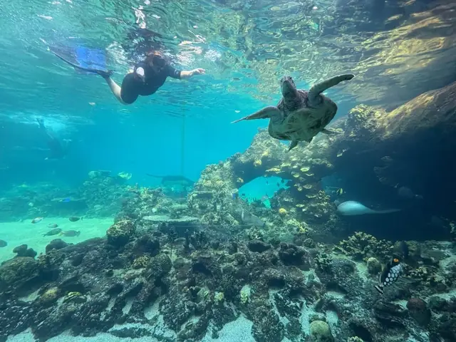 Underwater adventures